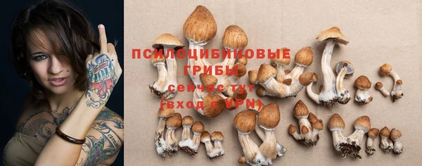 гидропоника Верхний Тагил